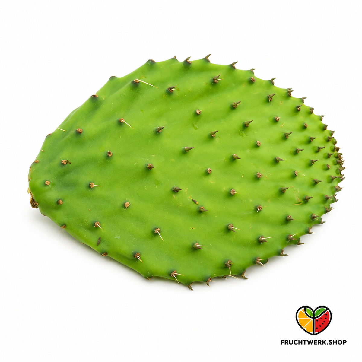 Nopal – Kaktusblatt / Feigenkaktus – Frisch, mild & vielseitig