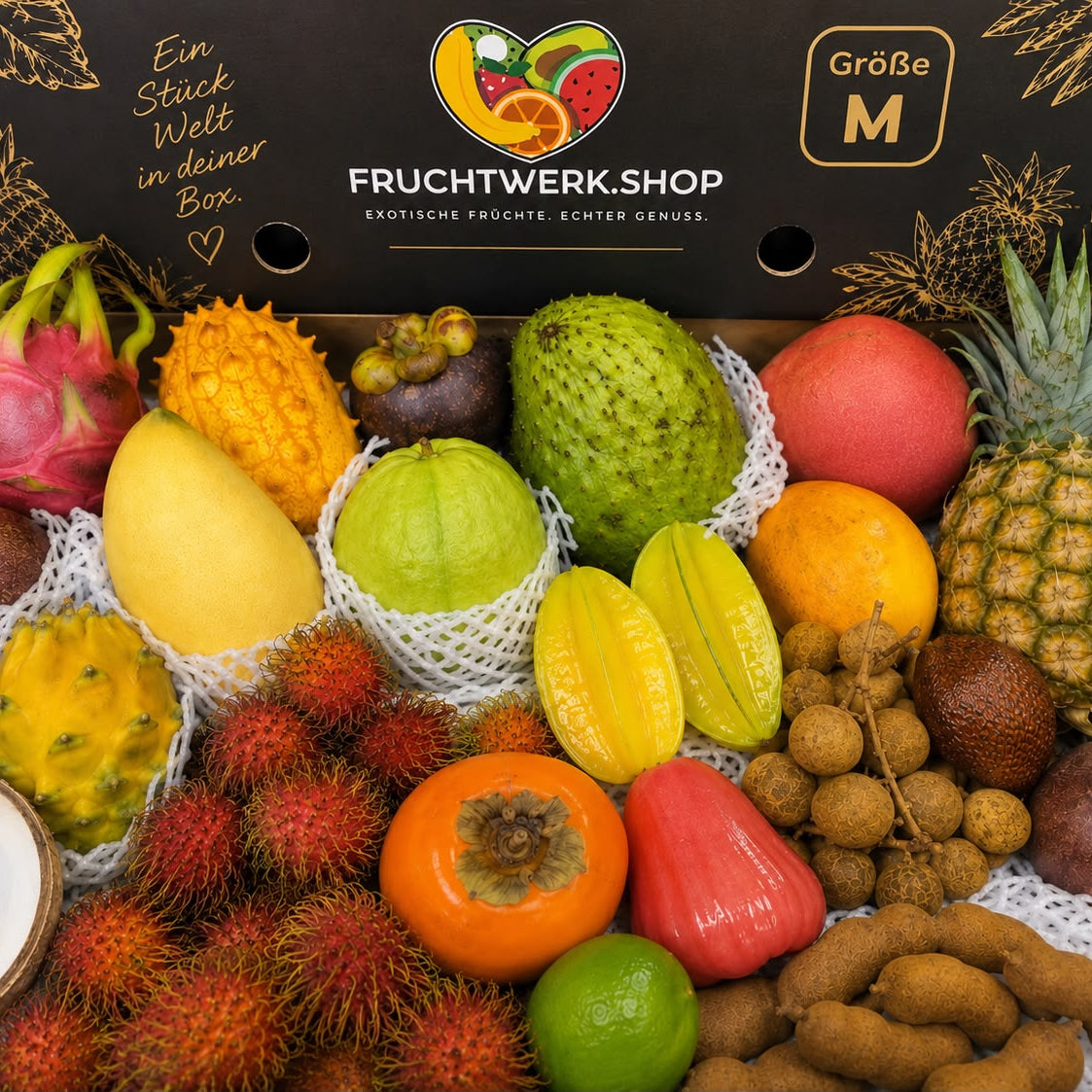 Exotic Box S,M,L – 2-6kg Exotenvielfalt