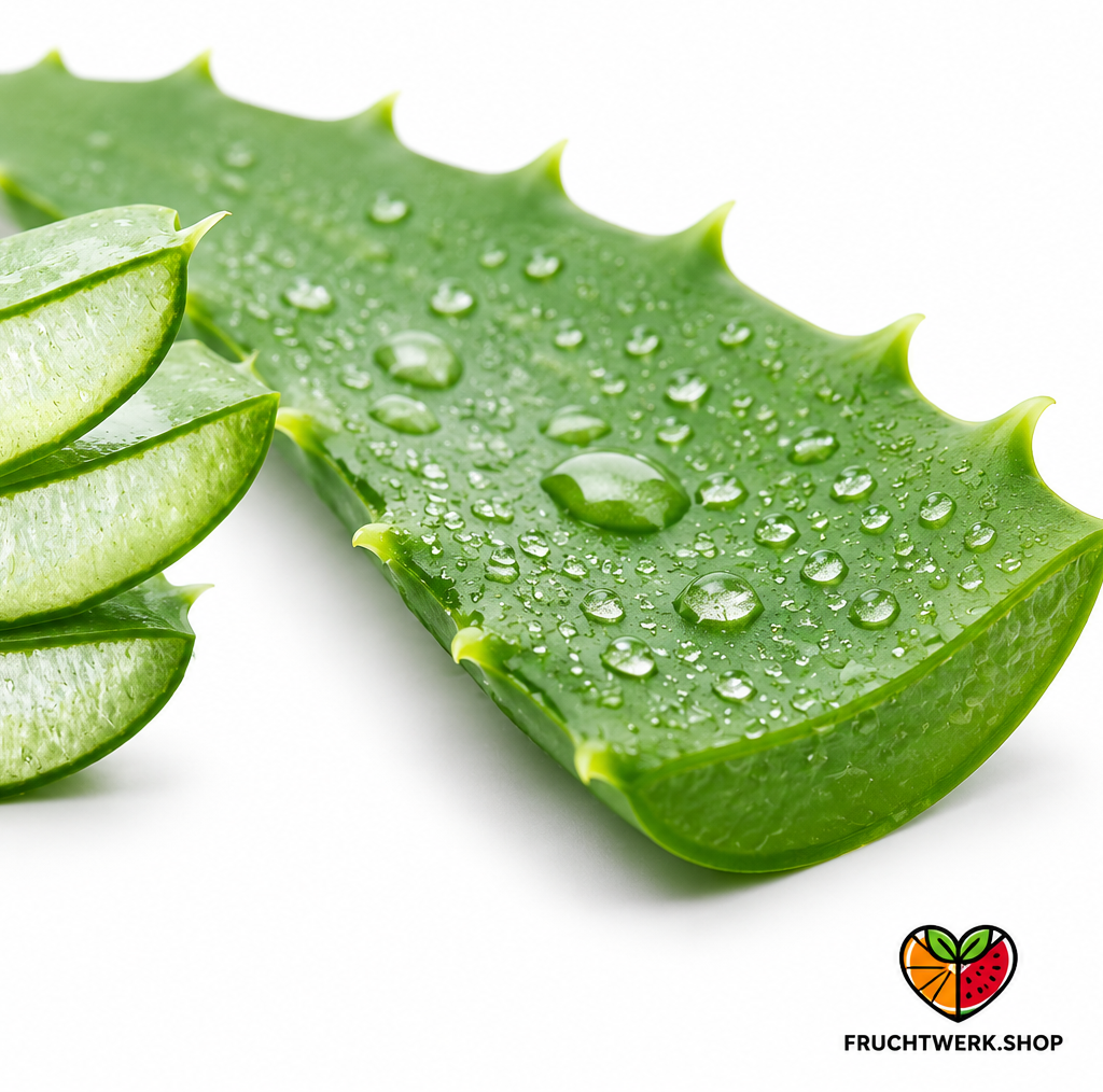 Aloe Vera – Frisch, außergewöhnlich & vielseitig