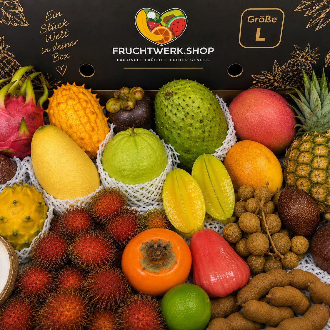 Exotic Box S,M,L – 2-6kg Exotenvielfalt