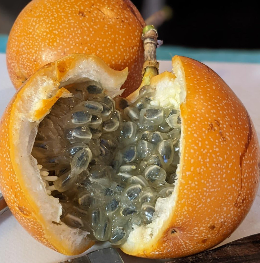 Granadilla – exotisch süß & herrlich aromatisch