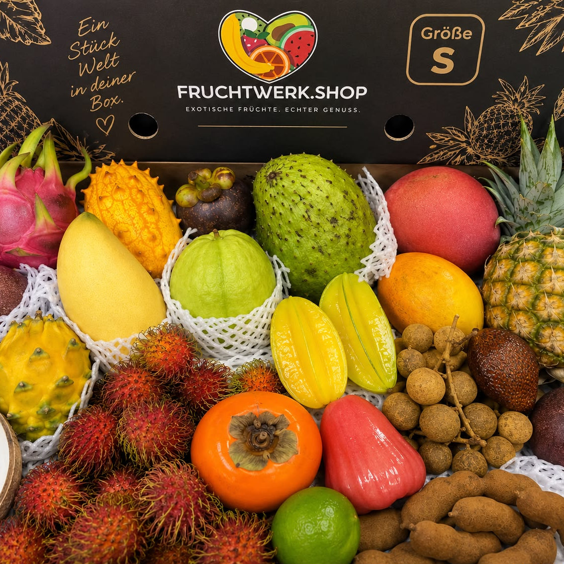 Exotic Box S,M,L – 2-6kg Exotenvielfalt
