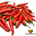 🌶️ Mini-Chili Rot aus Thailand – klein, aromatisch &amp; sehr scharf